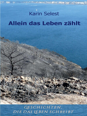 cover image of Allein das Leben zählt